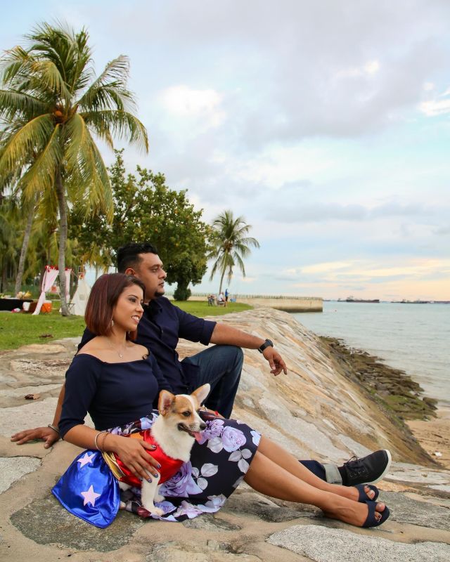 Thinking of spending the weekend with your family and pet? Consider going down to the beach at East Coast park!

📸: Jaeden | ©DeReminisce Photography
Email: DeReminisce@gmail.com
Lifestyle | portrait | wedding | event

#dereminisce #portrait #portraitphotography #portraitphotographer #singaporephotographer #sgphotographer #outdoor #outdoorportraits #igsg #sgig #singapore #canon #canonsg #canonphotography #canonphotographer #family #love #throwback #vsco #visualarts #fashion #pet #petlover #doglover